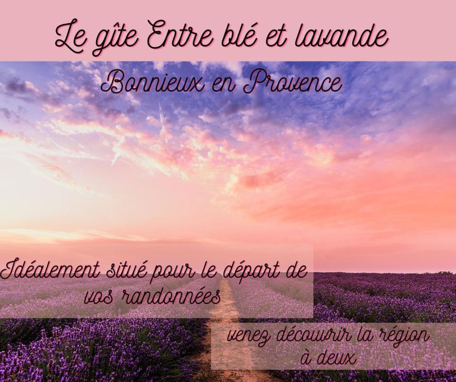 ボニユーEntre Ble Et Lavandeアパートメント エクステリア 写真